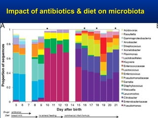 Impact of antibiotics & diet on microbiotaImpact of antibiotics & diet on microbiota
 