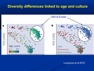 Diversity differences linked to age and culture
Luzupone et al 2012
USA & Europe
 