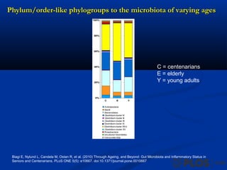 Phylum/order-like phylogroups to the microbiota of varying agesPhylum/order-like phylogroups to the microbiota of varying ages
Biagi E, Nylund L, Candela M, Ostan R, et al. (2010) Through Ageing, and Beyond: Gut Microbiota and Inflammatory Status in
Seniors and Centenarians. PLoS ONE 5(5): e10667. doi:10.1371/journal.pone.0010667
C = centenarians
E = elderly
Y = young adults
 