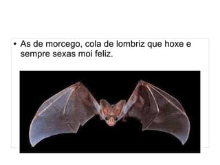 ● As de morcego, cola de lombriz que hoxe e 
sempre sexas moi feliz. 
 