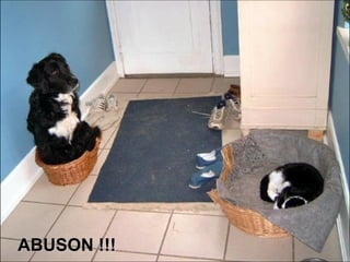 ABUSON !!! 
