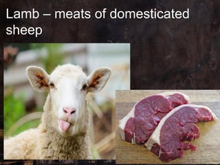 Lamb – meats of domesticated
sheep
 