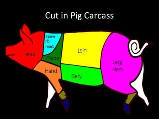 Cut in Pig Carcass
 
