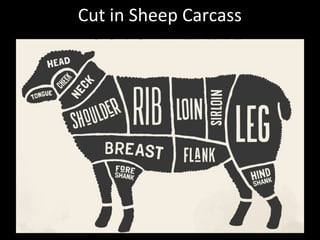 Cut in Sheep Carcass
 