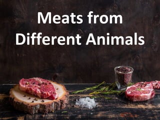Meats from
Different Animals
 
