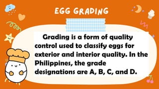Grading is a form of quality
control used to classify eggs for
exterior and interior quality. In the
Philippines, the grade
designations are A, B, C, and D.
 