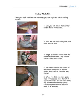 LM-Cookery Grade 10
207
Scaling Whole Fish
Once your work area and fish are ready, you can begin the actual scaling
process.
1. Lay your fish flat on the board or
hold it steady in the water.
2. Hold the fish down firmly with your
hand near its head.
3. Begin to rake the scales from the
tail towards the head. They should
start coming off in clumps.
4. Be sure to remove the scales on
both sides of the fish, as well as
scales near the fins, the collar and
the tail.
5. When you think you have gotten
most of the scales, rinse the fish off
again with water. This will wash away
any loose scales and help you to
identify any remaining scales that
need to be removed.
 