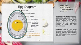 PHYSCICAL
STRUCTURE &
COMPOSITION OF
EGGS
Albumen/Egg white. Albumen,
also called egg white, accounts
for most of an egg‘s liquid
weight, about 67%. This is
produced by the oviduct and
consists of four alternating
layers of thick and thin
consistencies.
Chalaza. This is the ropey
strands of egg white at both
sides of the egg, which anchor
the yolk in place in the center of
the thick white.
 