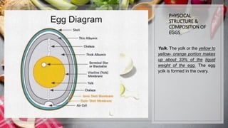 PHYSCICAL
STRUCTURE &
COMPOSITION OF
EGGS
Yolk. The yolk or the yellow to
yellow- orange portion makes
up about 33% of the liquid
weight of the egg. The egg
yolk is formed in the ovary.
 