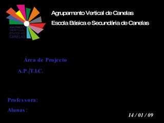 Agrupamento Vertical de Canelas Escola Básica e Secundária de Canelas 14 / 01 / 09 Área de Projecto  A.P./T.I.C. Professora:   Alunas: 