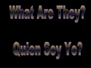 What Are They? Quien Soy Yo? 
