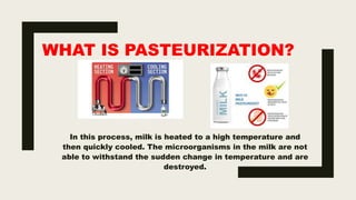 WHAT IS PASTEURIZATION?
In this process, milk is heated to a high temperature and
then quickly cooled. The microorganisms in the milk are not
able to withstand the sudden change in temperature and are
destroyed.
 
