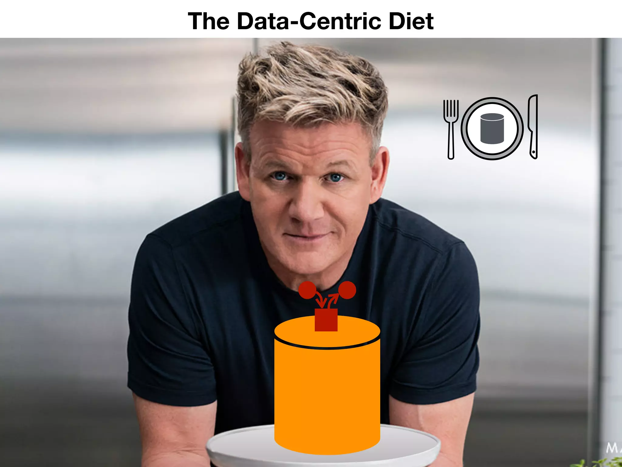 x
The Data-Centric Diet
 