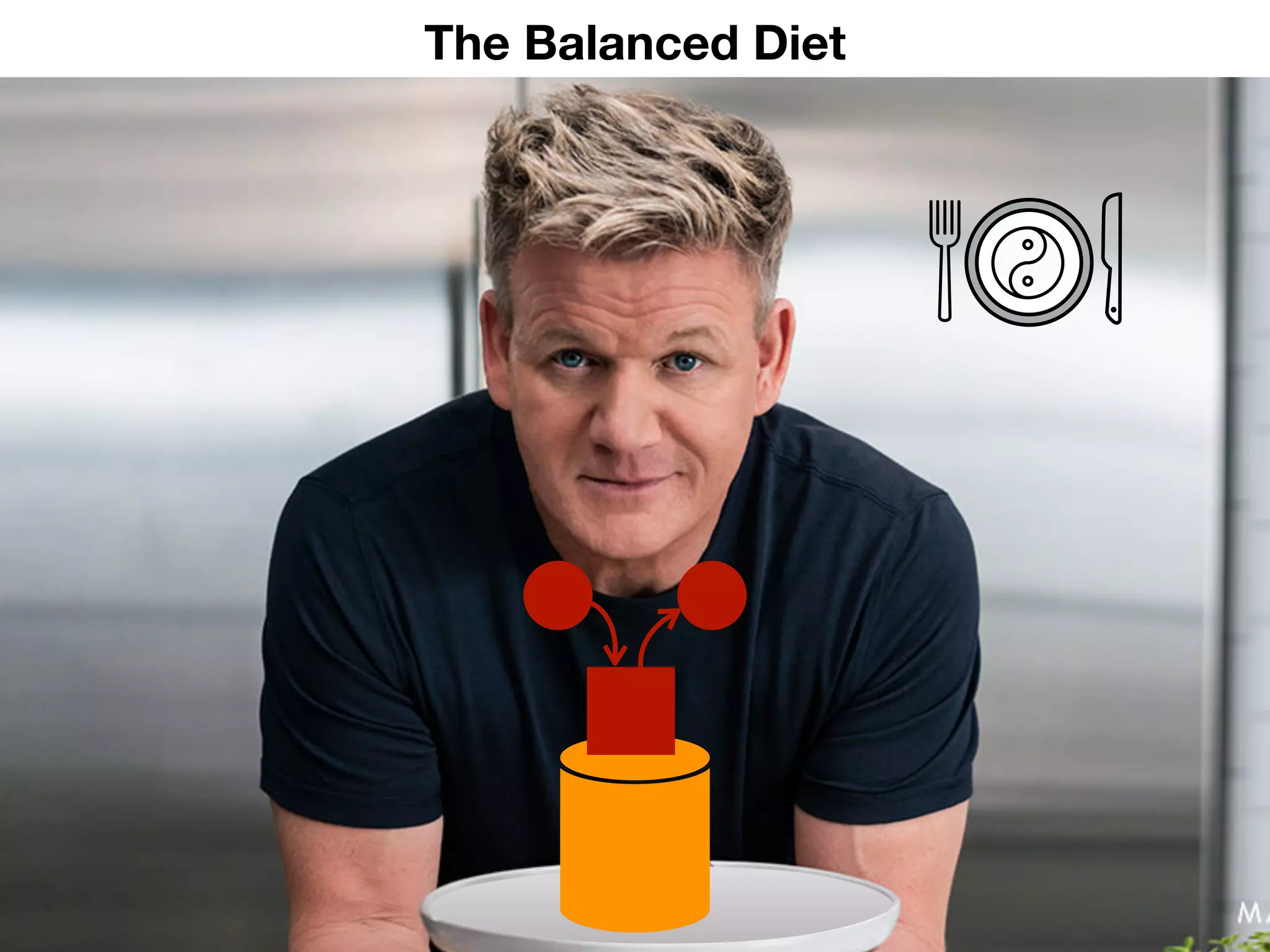 x
The Balanced Diet
 