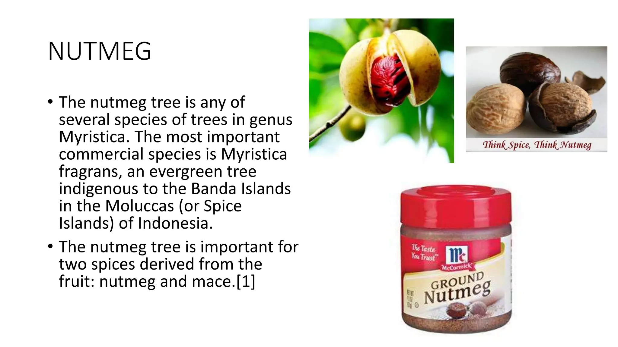 NUTMEG
• The nutmeg tree is any of
several species of trees in genus
Myristica. The most important
commercial species is Myristica
fragrans, an evergreen tree
indigenous to the Banda Islands
in the Moluccas (or Spice
Islands) of Indonesia.
• The nutmeg tree is important for
two spices derived from the
fruit: nutmeg and mace.[1]
 