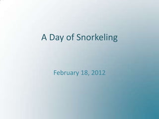 A Day of Snorkeling


   February 18, 2012
 