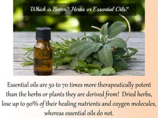 Essential oils are 50 to 70 times more therapeutically potent
than the herbs or plants they are derived from! Dried herbs,
lose up to 90% of their healing nutrients and oxygen molecules,
whereas essential oils do not.
 