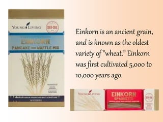 Einkorn is an ancient grain,
and is known as the oldest
variety of "wheat.” Einkorn
was first cultivated 5,000 to
10,000 years ago.
 