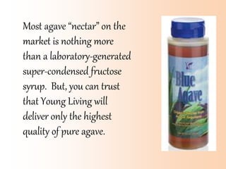 Most agave “nectar” on the
market is nothing more
than a laboratory-generated
super-condensed fructose
syrup. But, you can trust
that Young Living will
deliver only the highest
quality of pure agave.
 