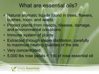 What are essential oils?
• Natural aromatic liquids found in trees, flowers,
bushes, roots, and seeds
• Protect plants from insects, disease, damage,
and environmental conditions
• Immune system of plants
• Extracted through steam distillation, carefully
to maximize healing qualities of the oils
• Very concentrated:
• 5,000 lbs rose petals = 1 lb of rose essential oil
 
