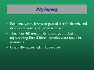 Phylogeny
• For some years, it was suspected that Cooksonia and
its species were poorly characterized.
• Thus four different kinds of spores , probably
representing four different species were found in
sporangia.
• Originally identified as C. Pertoni
 