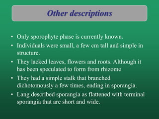 Other descriptions
• Only sporophyte phase is currently known.
• Individuals were small, a few cm tall and simple in
structure.
• They lacked leaves, flowers and roots. Although it
has been speculated to form from rhizome
• They had a simple stalk that branched
dichotomously a few times, ending in sporangia.
• Lang described sporangia as flattened with terminal
sporangia that are short and wide.
 