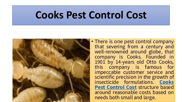 Cooks Pest Control Helps You In Pest Removal