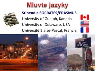 12
Stipendia SOCRATES/ERASMUS
University of Guelph, Kanada
University of Delaware, USA
Universit Blaise-Pascal, Francie
 