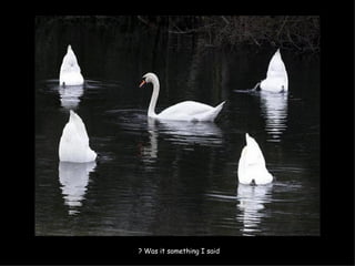 Was it something I said ? 