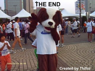 Created by Thilini THE END 