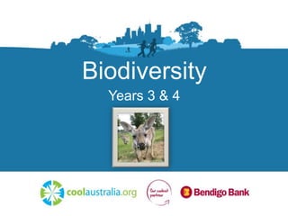 Biodiversity
Years 3 & 4
 