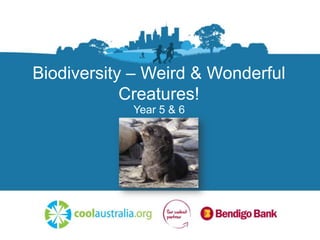 Biodiversity – Weird & Wonderful
Creatures!
Year 5 & 6
 