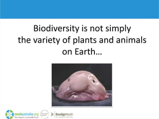 Biodiversity is not simply
the variety of plants and animals
            on Earth…
 