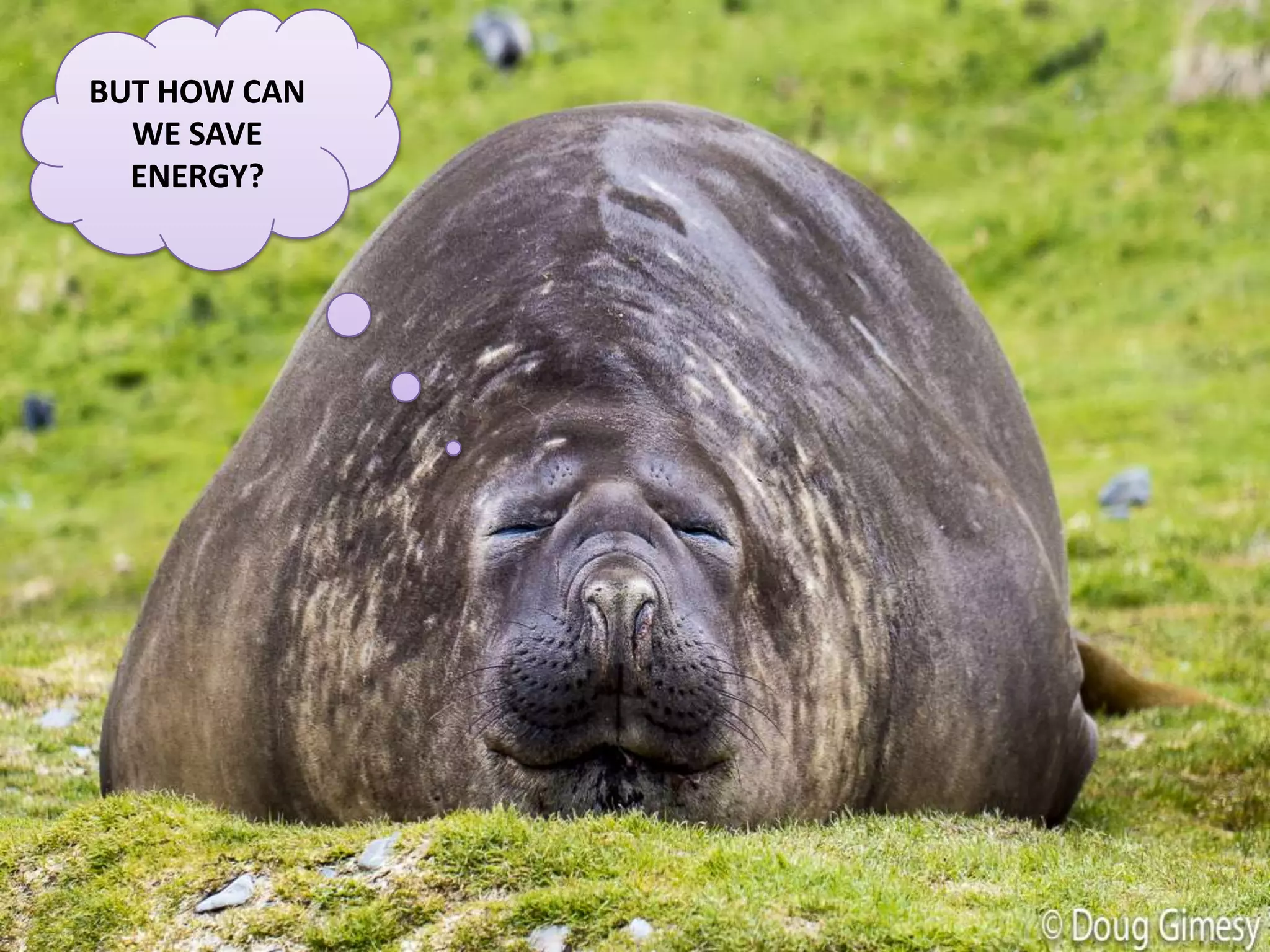 BUT HOW CAN
WE SAVE
ENERGY?