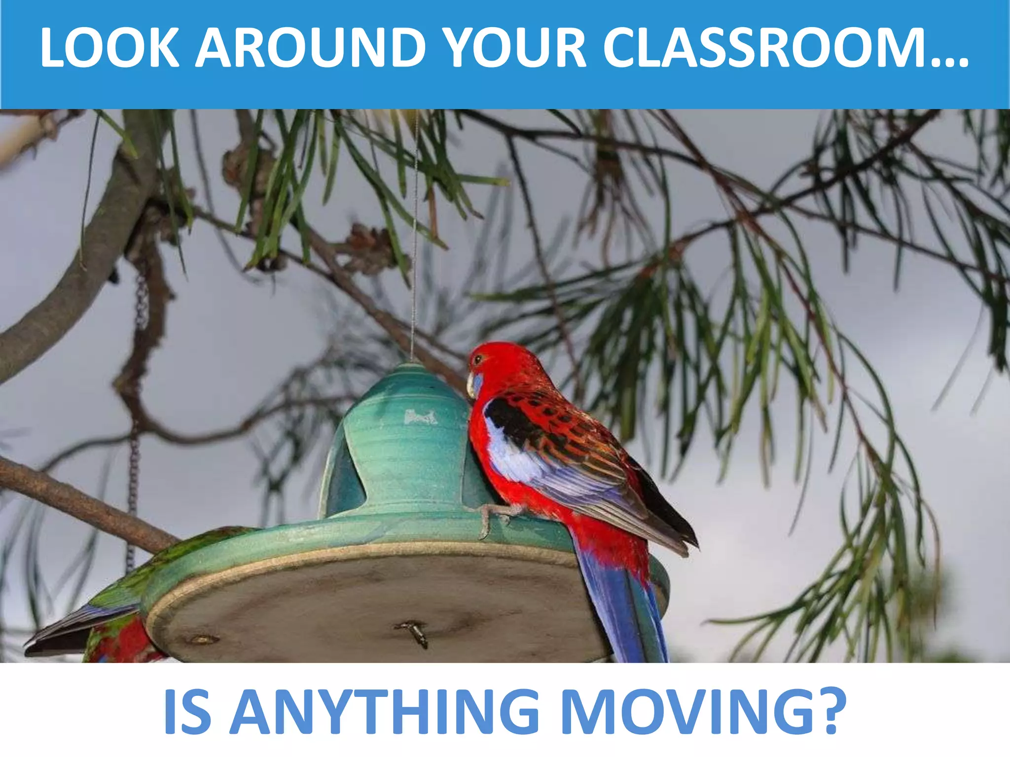 IS ANYTHING MOVING?
LOOK AROUND YOUR CLASSROOM…