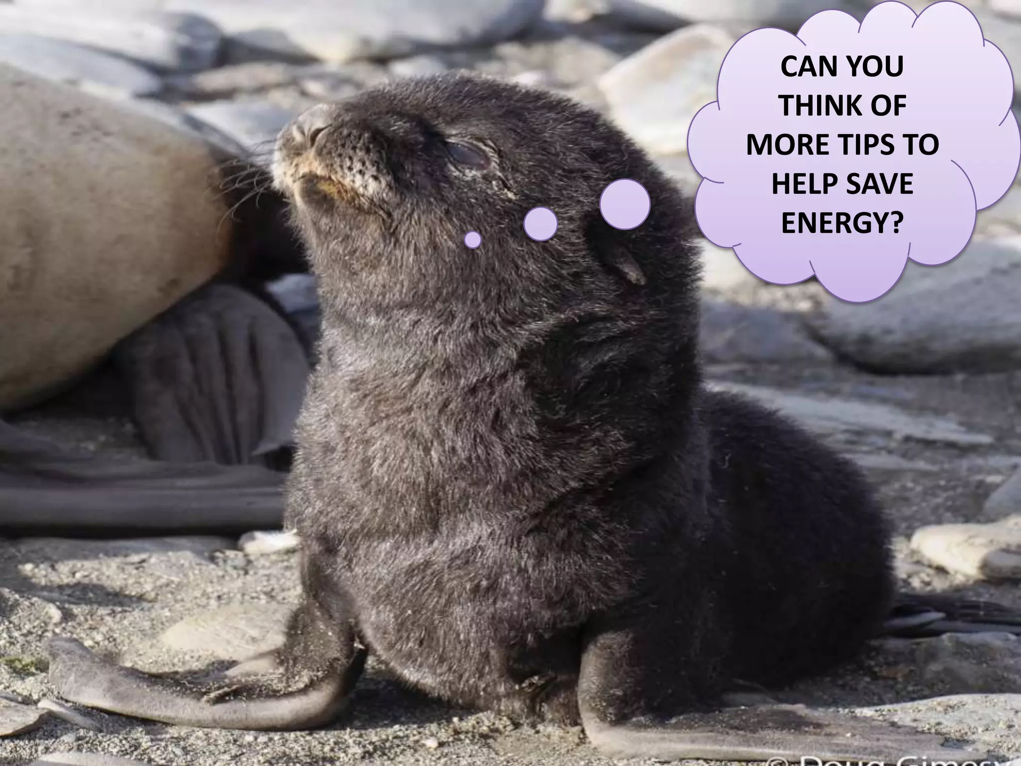 CAN YOU
THINK OF
MORE TIPS TO
HELP SAVE
ENERGY?