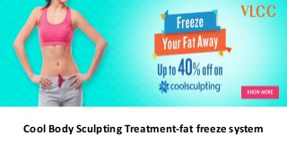 Cool Body Sculpting Treatment-fat freeze system
 