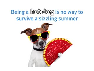 How to be a cool cat in the heatwave