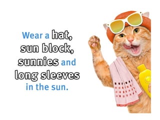 How to be a cool cat in the heatwave