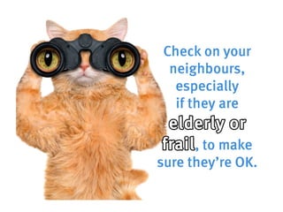 How to be a cool cat in the heatwave