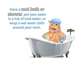 How to be a cool cat in the heatwave