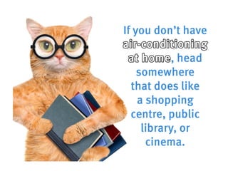 How to be a cool cat in the heatwave