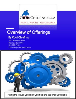 Overview of Offerings
By Cool Chief Inc
3341 Hampton Road
Raleigh, NC 27607
919-795-7154
Coolchief@coolchiefinc.com
Fixing the Issues you knew you had and the ones you didn’t.
 
