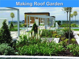 Making Roof Garden
 