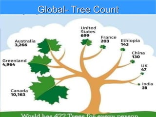Global- Tree Count
 