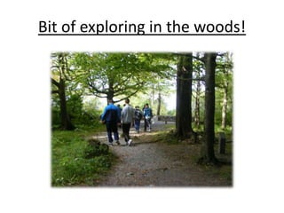 Bit of exploring in the woods!
 
