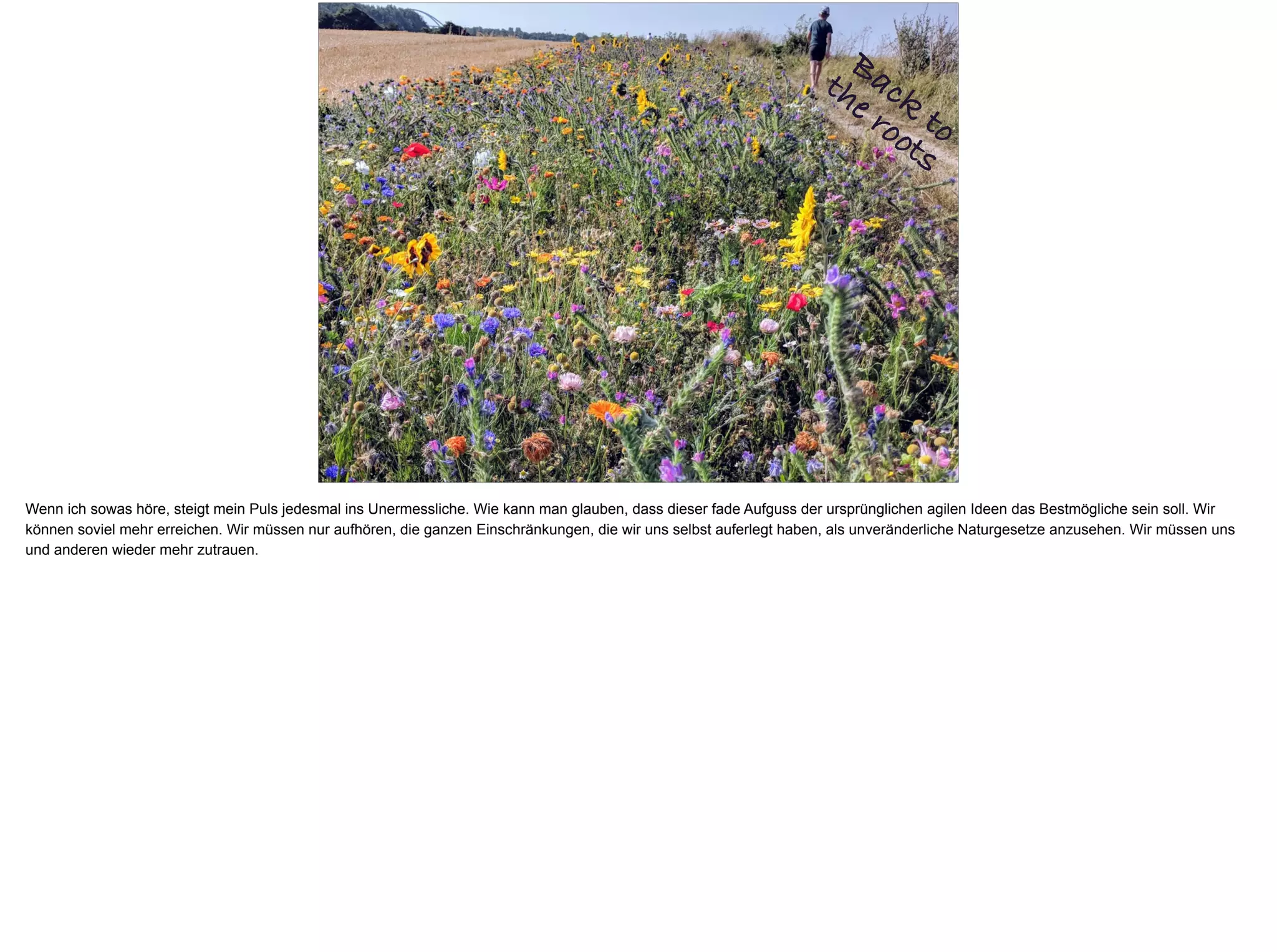 Back
to
the roots
Wenn ich sowas höre, steigt mein Puls jedesmal ins Unermessliche. Wie kann man glauben, dass dieser fade Aufguss der ursprünglichen agilen Ideen das Bestmögliche sein soll. Wir
können soviel mehr erreichen. Wir müssen nur aufhören, die ganzen Einschränkungen, die wir uns selbst auferlegt haben, als unveränderliche Naturgesetze anzusehen. Wir müssen uns
und anderen wieder mehr zutrauen.
 