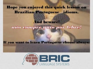 13 Coolest Animal Idioms in Portuguese