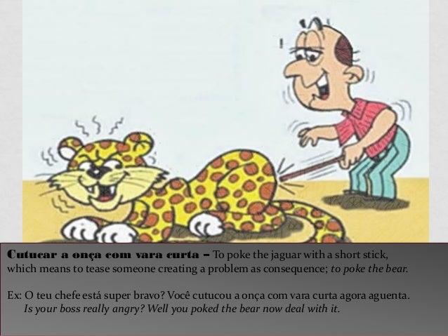 13 Coolest Animal Idioms In Portuguese