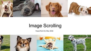 Scrolling Design Powerpoint Line Image Scrolling Tutorial in PowerPoint | PPTX